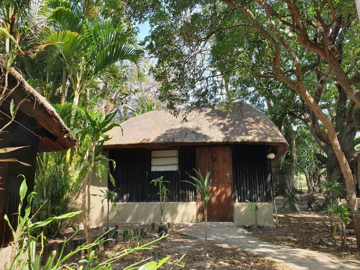 Pumusa Bushcamp 赫卢赫卢韦 外观 照片
