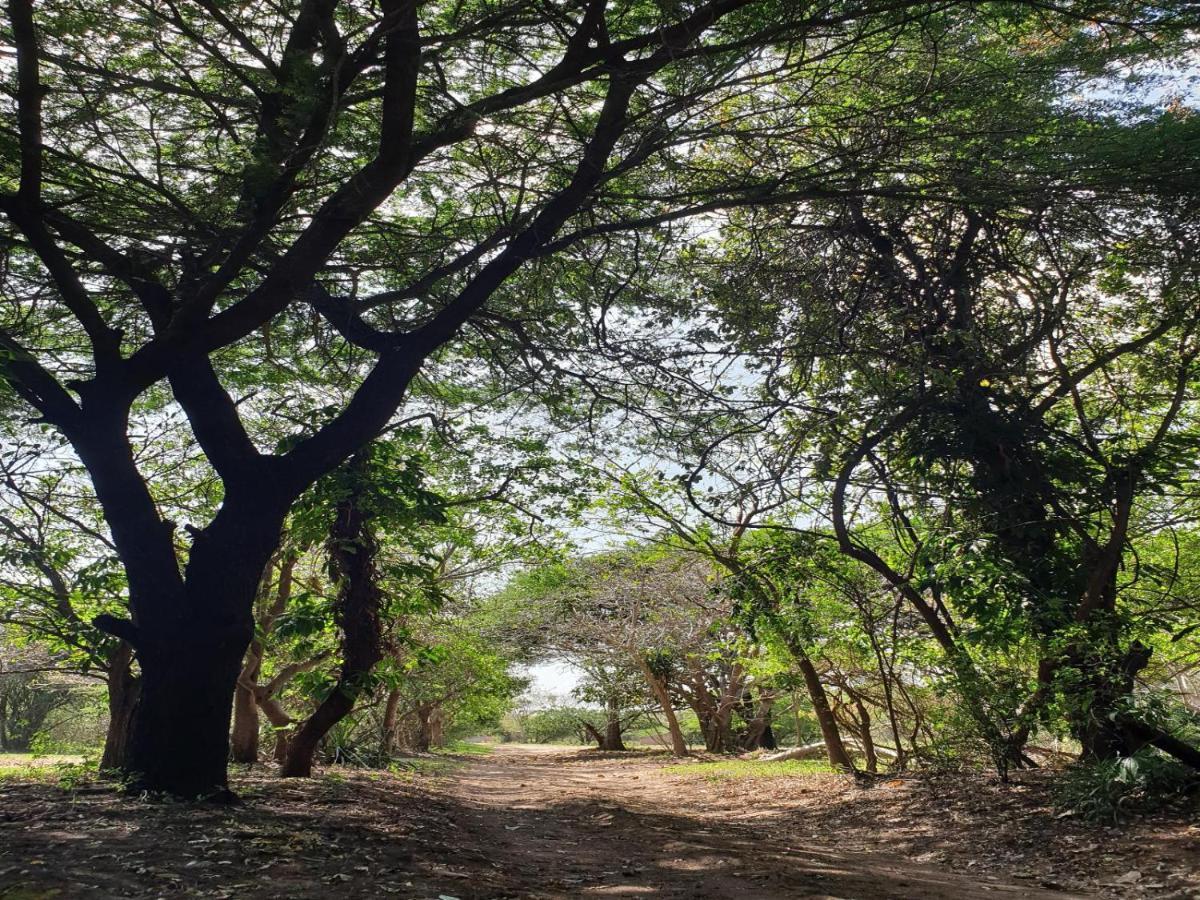 Pumusa Bushcamp 赫卢赫卢韦 外观 照片