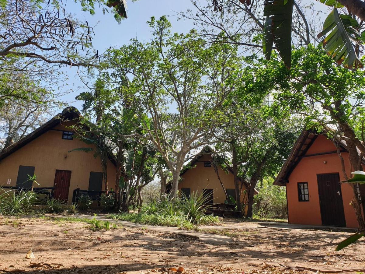 Pumusa Bushcamp 赫卢赫卢韦 外观 照片