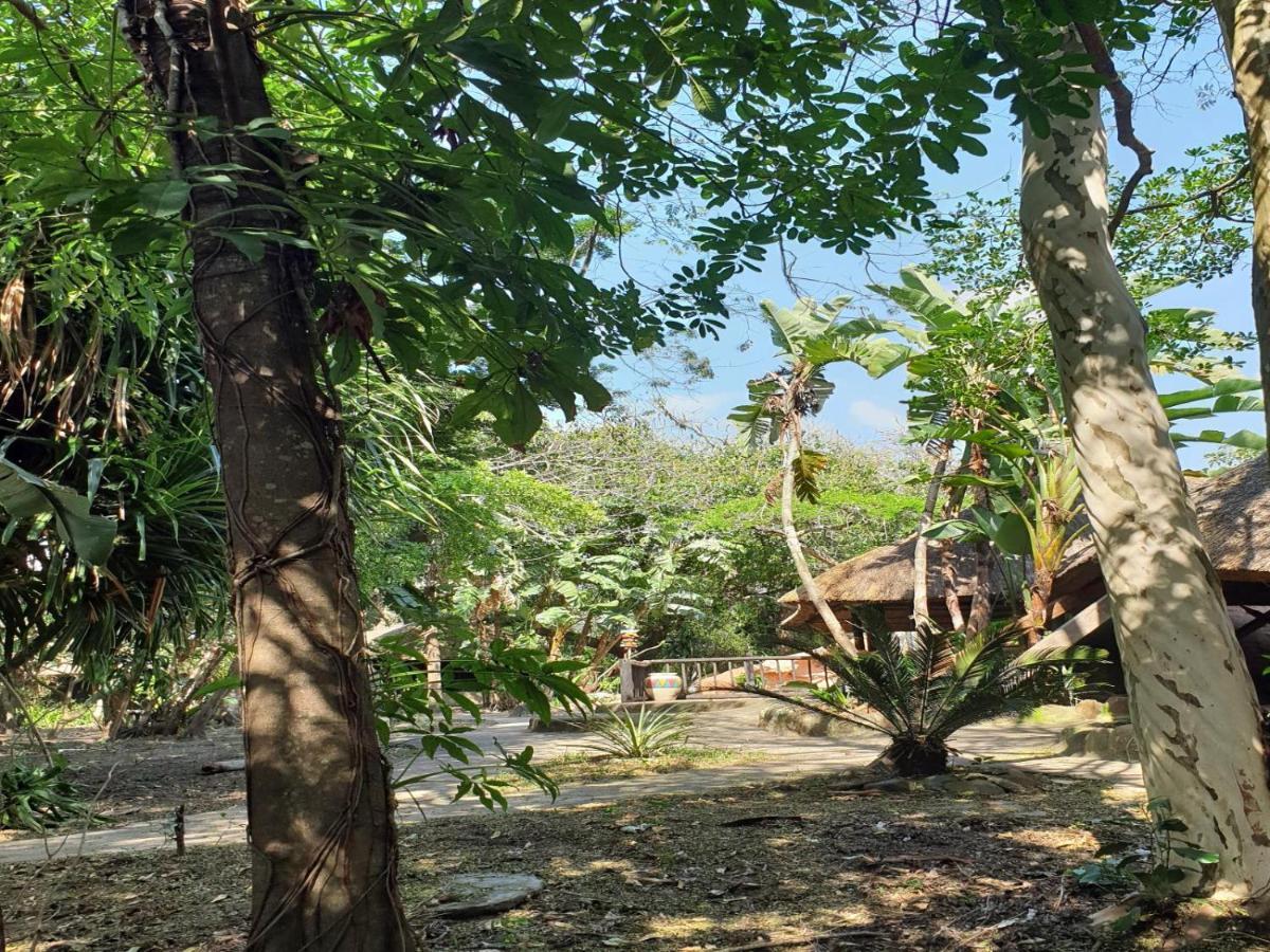 Pumusa Bushcamp 赫卢赫卢韦 外观 照片