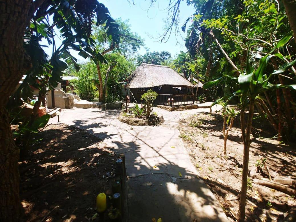 Pumusa Bushcamp 赫卢赫卢韦 外观 照片
