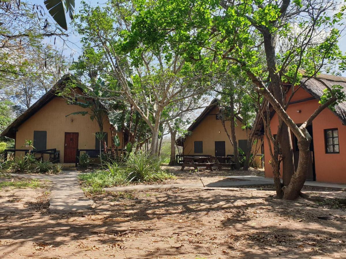 Pumusa Bushcamp 赫卢赫卢韦 外观 照片